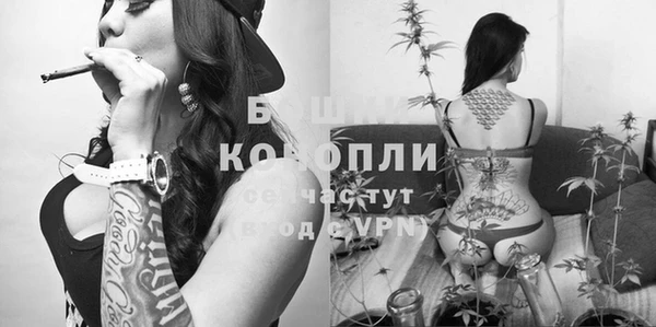твердый Бородино