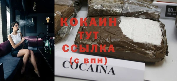 твердый Бородино