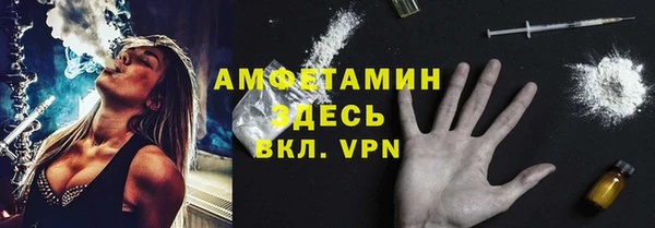 твердый Бородино