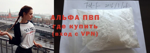 твердый Бородино