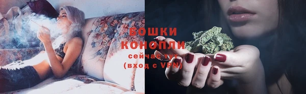твердый Бородино