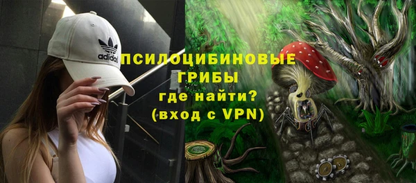 твердый Бородино