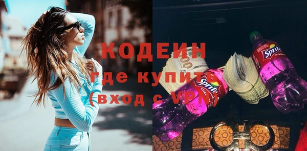 твердый Бородино